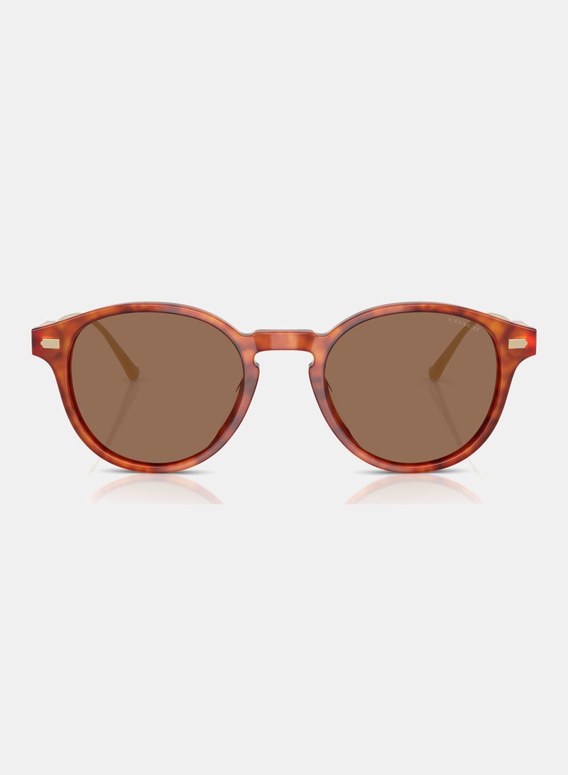 كوتش نظارة شمسية دائرية كاملة الحواف HC8428U - 577473 - Image 5